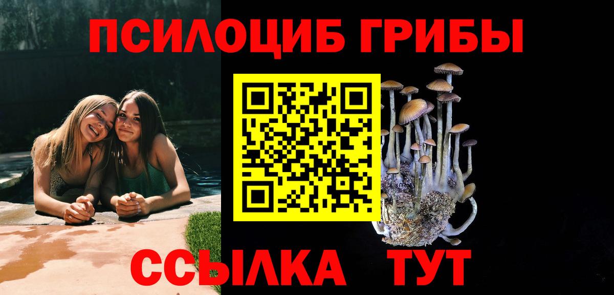 Галлюциногенные грибы Psilocybe  Вход с VPN  Кыштым 
