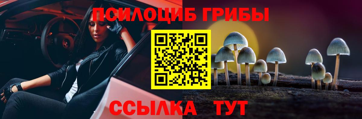 Псилоцибиновые грибы ЛСД Кыштым